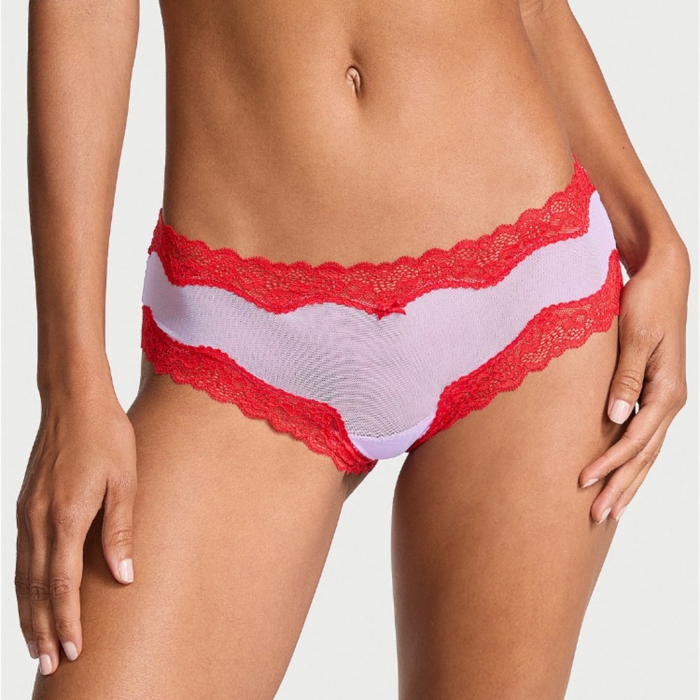 ❤️Victoria’s Secret Tease mesh w/lace trim cheeky panty sz XL NWT